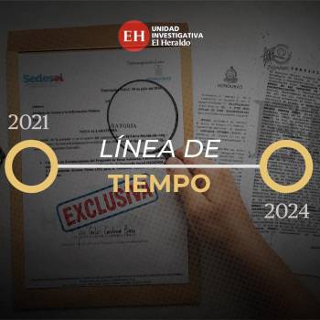 ONG beneficiadas por diputados de Libre se constituyeron en 2021 y 2024