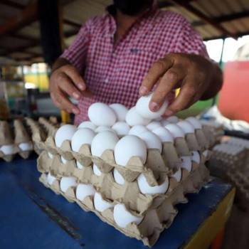 La suma pasó a 12,143.15 lempiras por la cesta alimenticia para noviembre al reportar un costo promedio per cápita de 2,428.63 lempiras