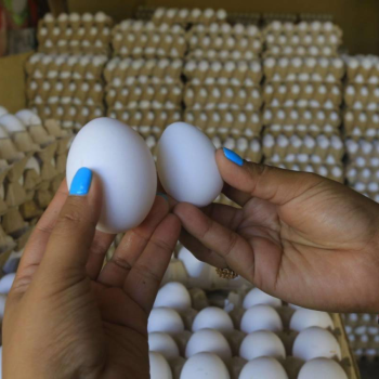 Huevos más caros: Precio del cartón sube en mercados y supermercados