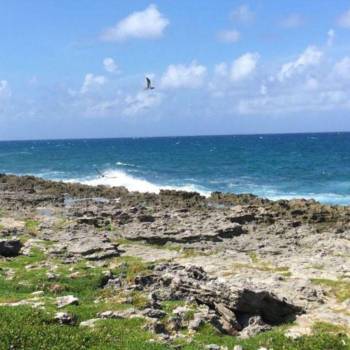 Diputados de oposición se han sumado a las voces en contra de la construcción de la cárcel en la isla, calificando que la obra será insostenible para el país