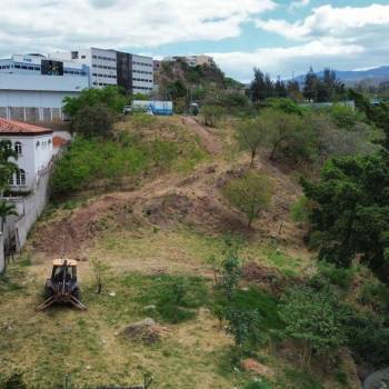 Construirán un bosque urbano que llevará el nombre de Berta Cáceres