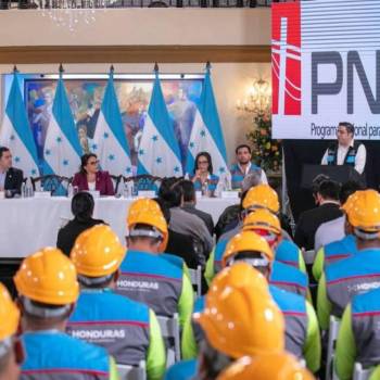 El plan de rescate de la ENEE erogó L 732,250 en pago de pasajes y viáticos