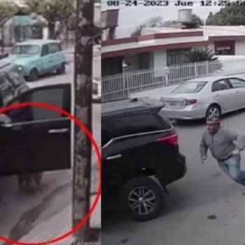 Aunque la hazaña del perro no dejó heridos, lo difícil será explicar a los del seguro cómo fue que terminó colisionando