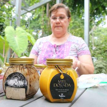 Trigona, el emprendimiento que diversifica la miel y abriga a las abejas