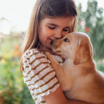 Mascotas para niños: beneficios y compromisos