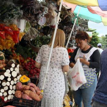 A pesar que las hortalizas de los mercados de San Pedro Sula son en su mayoría importadas, estas mantienen similares precios con las del Distrito Central