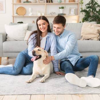 Beneficios en la salud al adoptar a un perro como parte de la familia