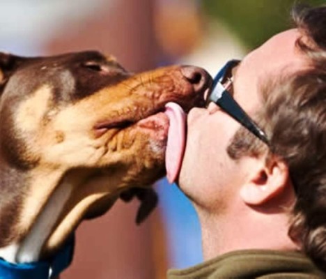 Fue infiel con un perro