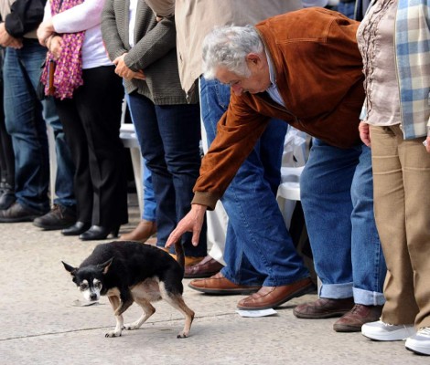 Trabajadores del mundo celebran Día del Trabajo