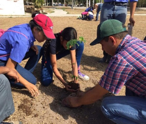 Honduras tendrá un referente de universidad verde en la región