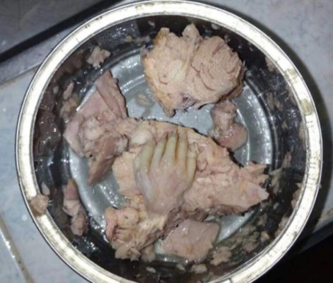 Asqueroso hallazgo en una lata de atún