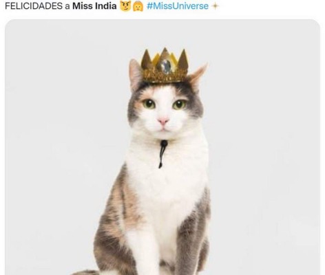 Memes que dejó el 'miau' de Harnaaz Sandhu en ceremonia de Miss Universo