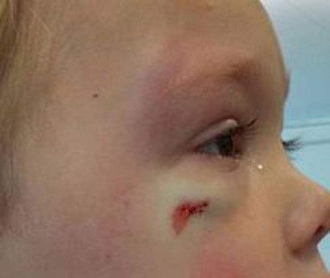 Insólito comentario