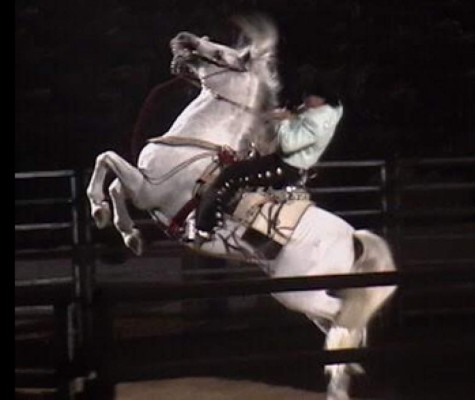 Caballo de Joan Sebastian murió cinco días antes él