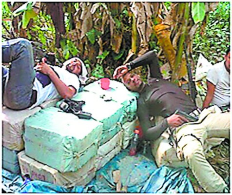 RNP, vulnerable ante narcos y crimen organizado