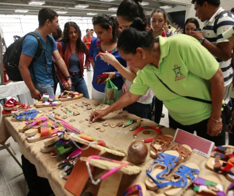 Elaboran productos y artículos a base de diversas especies de plantas útiles