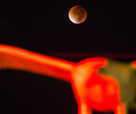 Así se vio la Superluna en el mundo