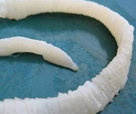 ‘Bajar los kilos’