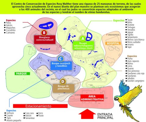En proceso de transformación el zoológico Rosy Walther