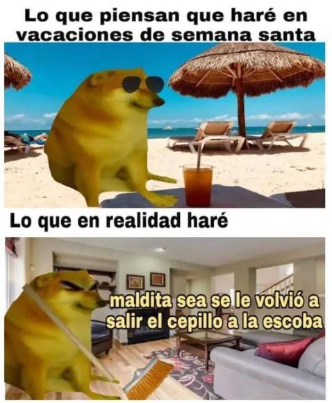 Inicia Semana Santa con los más divertidos memes de la temporada