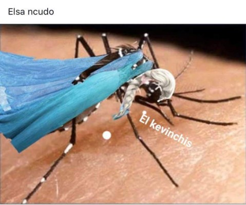 Los más divertidos memes de Elsa de Frozen