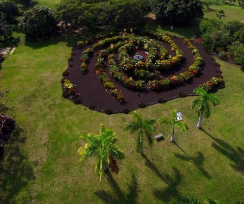 La galaxia entera será representada en un Jardín