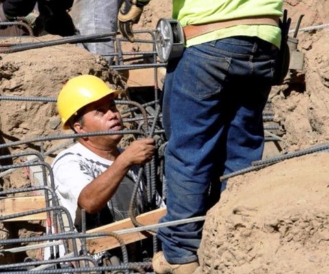 Las 14 áreas donde trabajan los latinos en EEUU