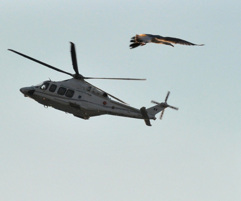 Benedicto XVI deja de ser Papa y se convierte en 'simple peregrino'