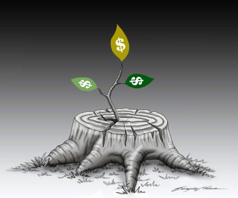 Mercaderes de la ecología