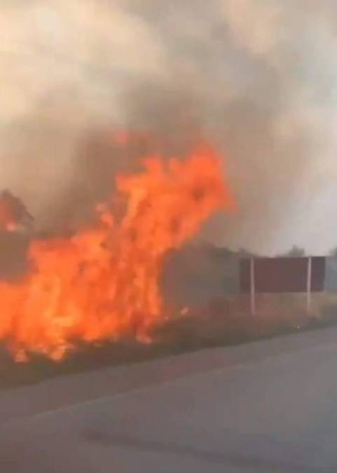 Así luce la Amazonia, el pulmón del mundo devorado por un incendio