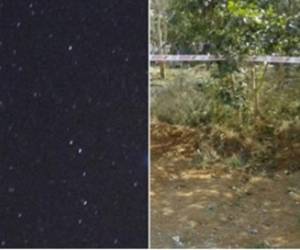 Dos jardineros y un estudiante también quedaron heridos, y fueron atendidos en un hospital en Vellore.