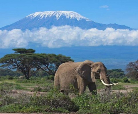 Sitios increíbles en peligro de extinción