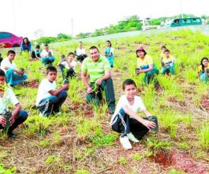 Estudiantes y docentes se sumaron a la siembra de ejemplares de uvillas en la jornada de reforestación.