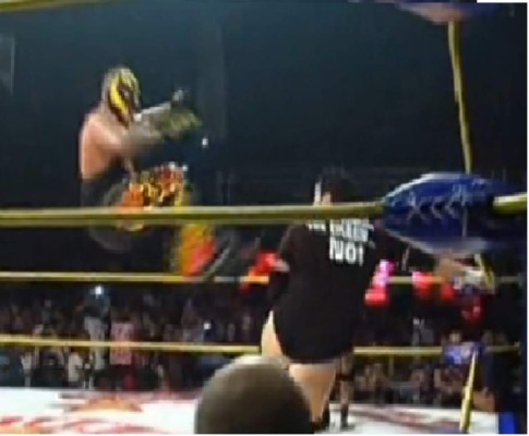 Una patada voladora termina con la vida de 'Hijo del Perro Aguayo'