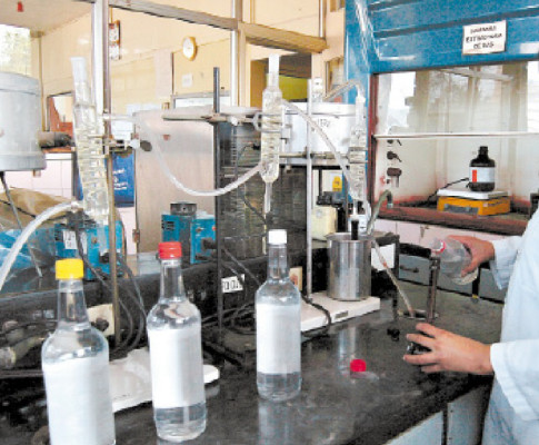 Casi 35% de licores fabricados en Honduras son clandestinos