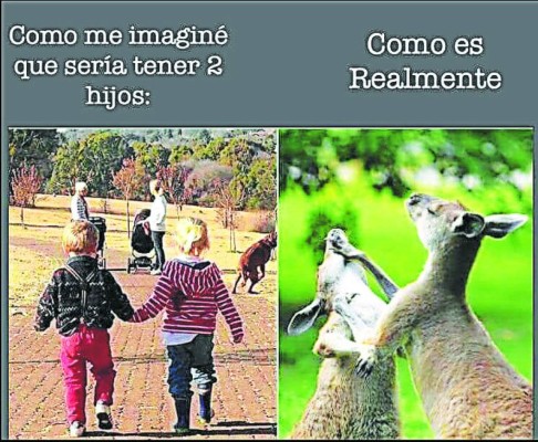 Acá están los mejores Catrachistes de la semana