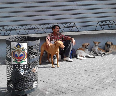 El encantador de perros hondureño
