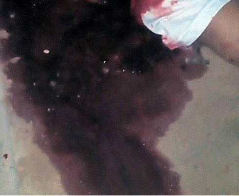 Nueva masacre: Mueren 33 presos en cárcel de Roraima, norte de Brasil &nbsp;&nbsp;