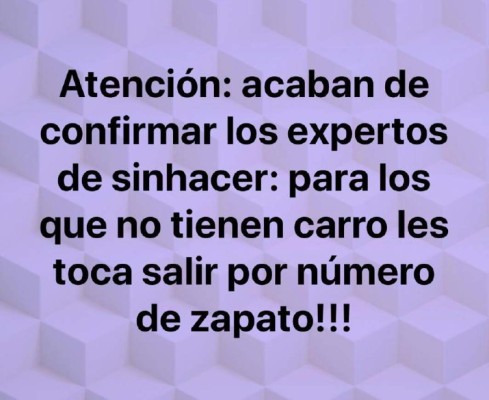 Los divertidos memes por nuevas medidas de circulación en Honduras