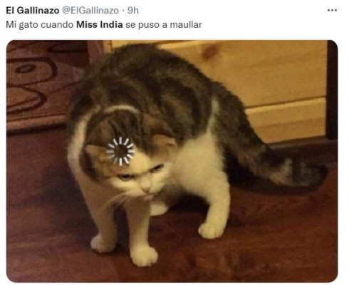 Memes que dejó el 'miau' de Harnaaz Sandhu en ceremonia de Miss Universo