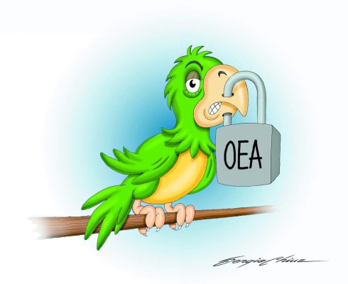 ¿Quieres más masa lorita?