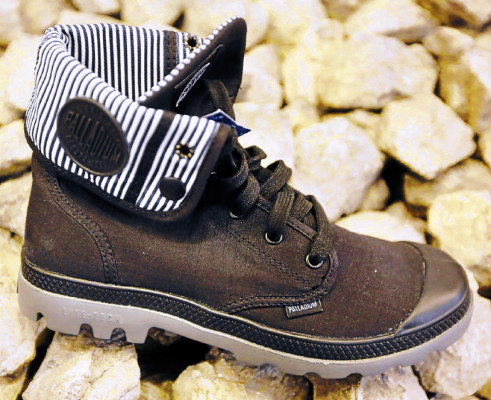 Los burros se ponen a tono con la moda