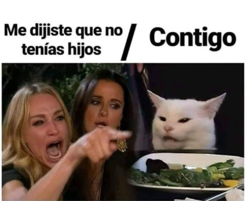 Memes virales de 2019: Gatos y el pollito amarillo entre los más compartidos