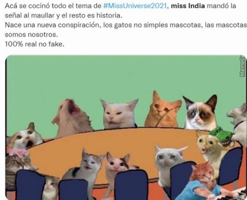 Memes que dejó el 'miau' de Harnaaz Sandhu en ceremonia de Miss Universo