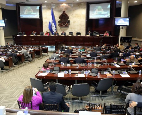 Concesionaria no sustentó la oferta técnica para Palmerola