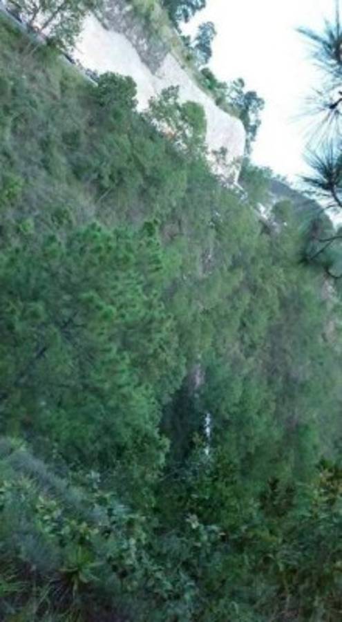 Honduras: Sobreviviente de bus que se fue a abismo relata momentos de horror que vivió