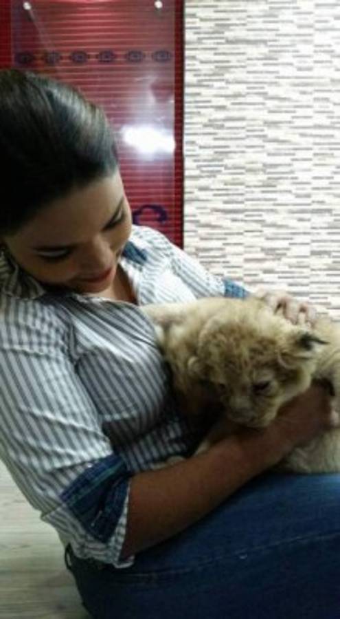 El romanticismo y elegancia de Ariela Cáceres de Andino causan furor en Facebook