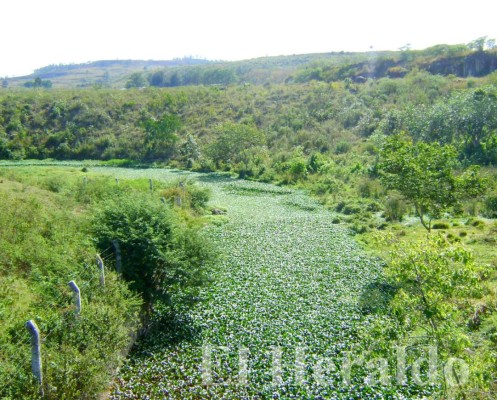 Río del Hombre, la apuesta para una nueva represa en capital hondureña
