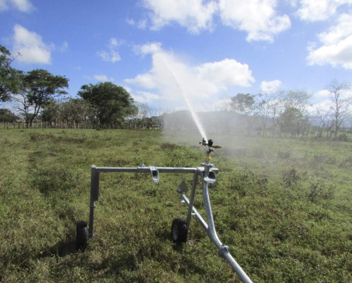 Productores de Jamastrán exigen que inicie proyecto de riego por goteo