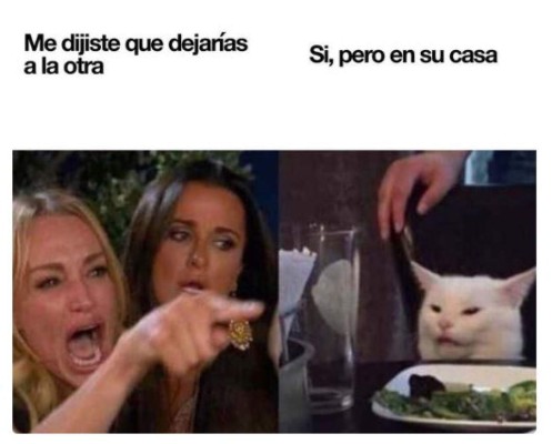 Los memes más graciosos del gato en la mesa y la mujer gritando